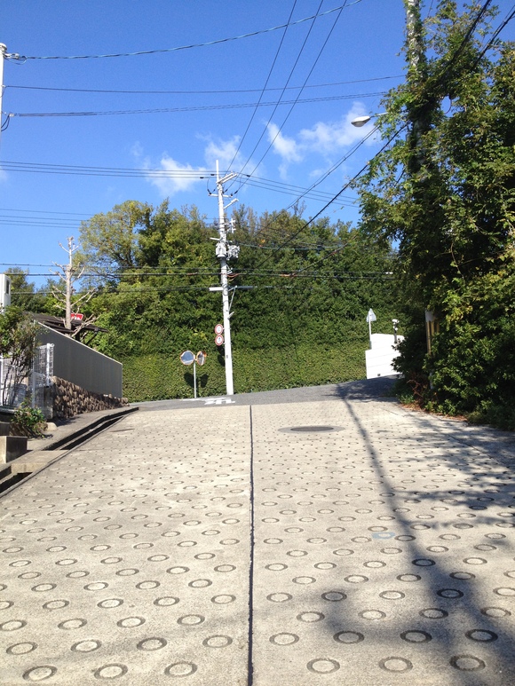 f0108606_17354334.jpg