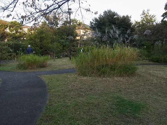 草地の草刈り(業者による機械刈り)_b0049307_163749100.jpg