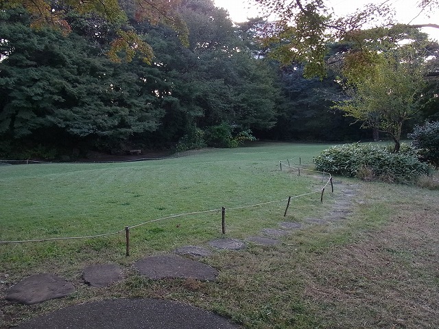 草地の草刈り(業者による機械刈り)_b0049307_16403282.jpg