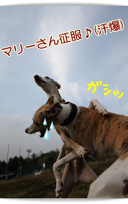 e0100007_2241472.jpg