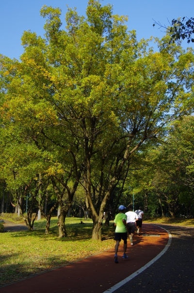 c0156908_6291564.jpg