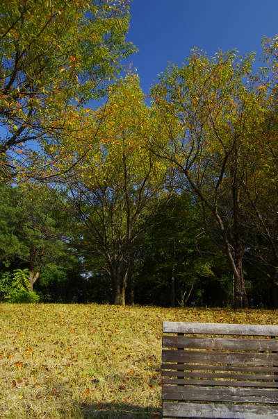 c0156908_634673.jpg