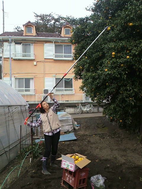 f0127408_22492078.jpg