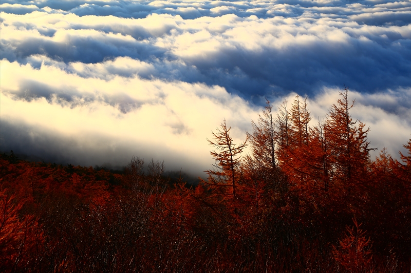 c0146510_1758291.jpg