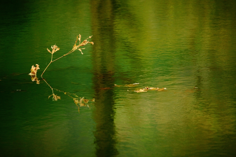 c0146510_1804247.jpg