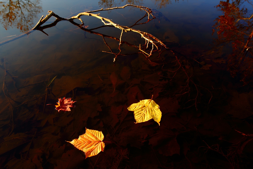 c0146510_1810631.jpg