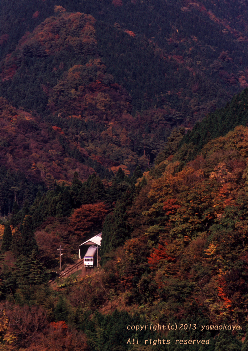 d0309612_23434175.jpg