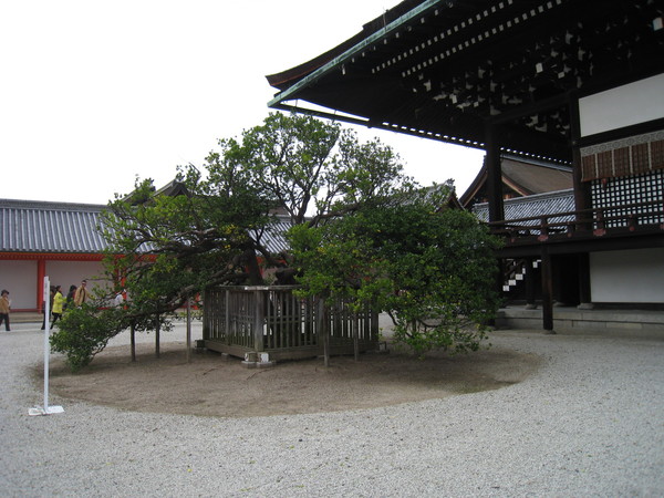 d0287413_8361692.jpg