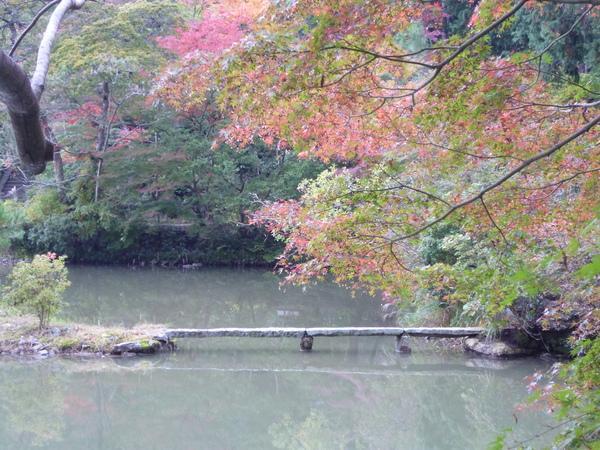 2013年　秋の浄瑠璃寺♪_e0233614_23362572.jpg