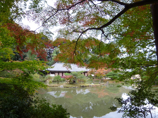 2013年　秋の浄瑠璃寺♪_e0233614_23372524.jpg