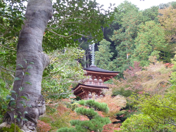 2013年　秋の浄瑠璃寺♪_e0233614_23584165.jpg