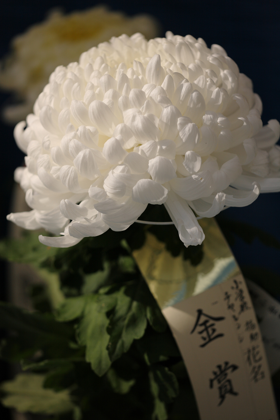 b0224616_18481352.jpg