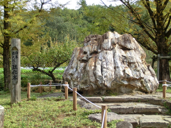 第41回 みのかも市民まつりレポート_d0237121_7503287.jpg