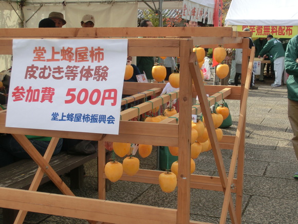第41回 みのかも市民まつりレポート_d0237121_7505143.jpg