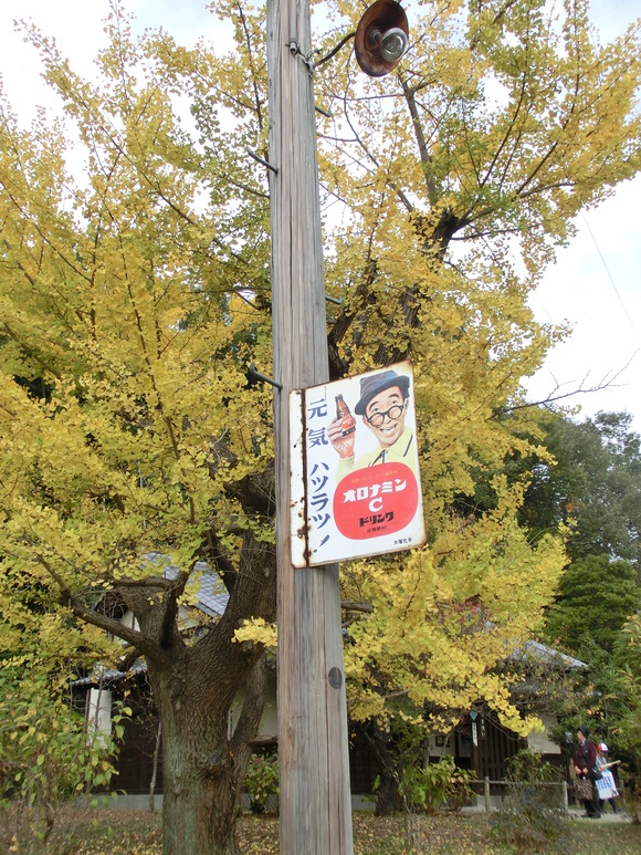 第41回 みのかも市民まつりレポート_d0237121_7531359.jpg