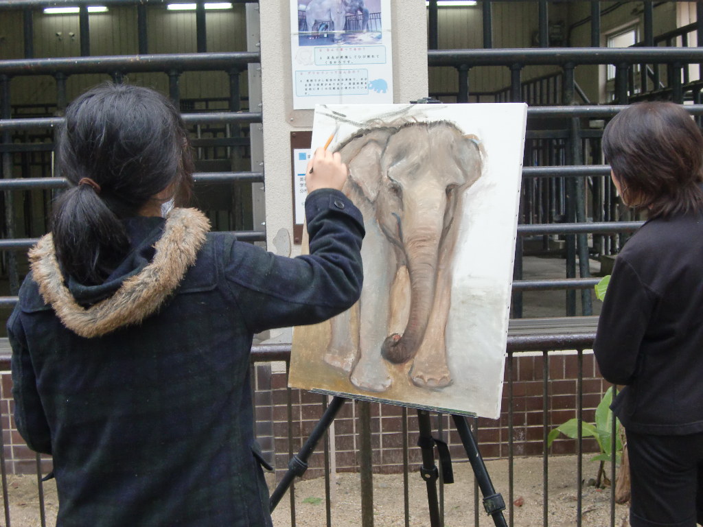 京都市動物園　2013年11月_d0281322_17102542.jpg