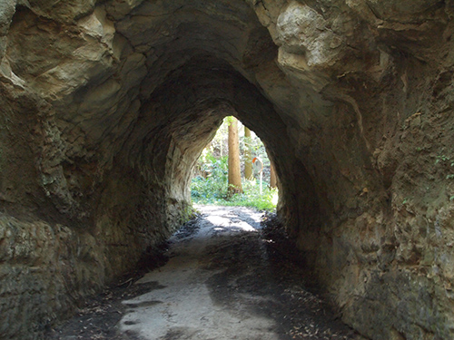 e0234922_19352195.jpg