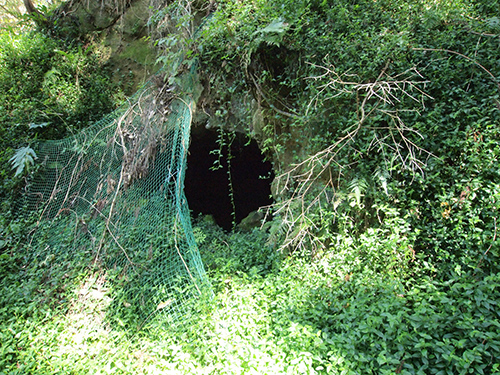 e0234922_19352930.jpg