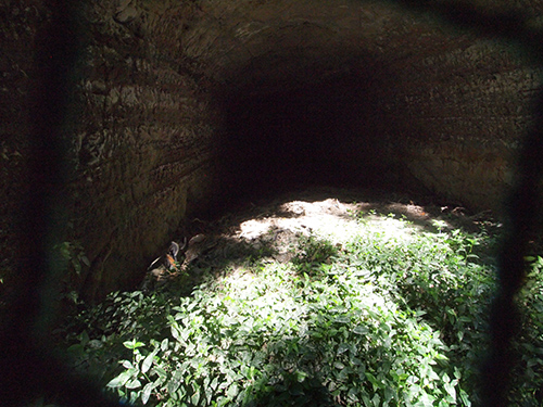 e0234922_19354822.jpg