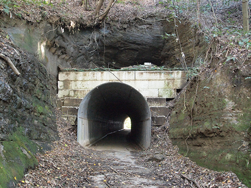 e0234922_1935537.jpg