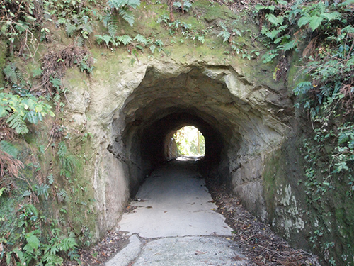 e0234922_1936418.jpg
