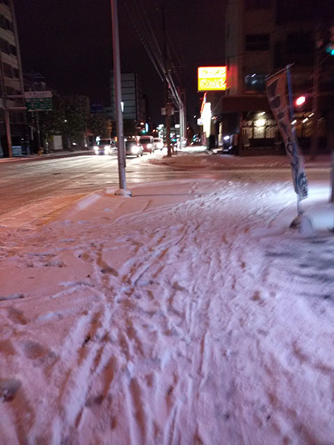 札幌もとうとう雪が積もった_f0234423_2153559.jpg