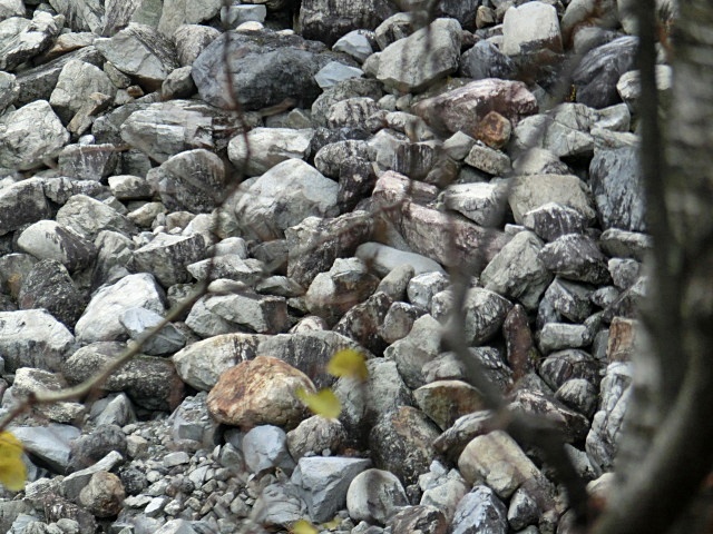e0234924_716497.jpg