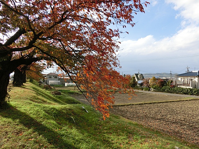 e0234924_765875.jpg