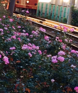 e0245625_228381.jpg