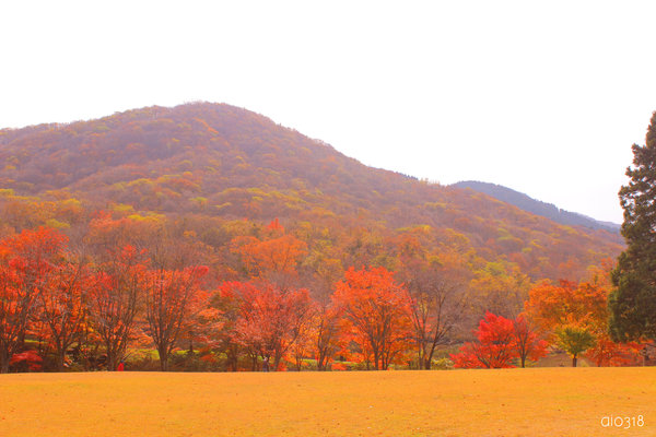 県民の森。_b0304227_22214638.jpg