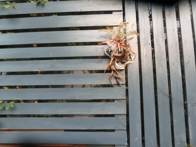 c0102228_2184986.jpg