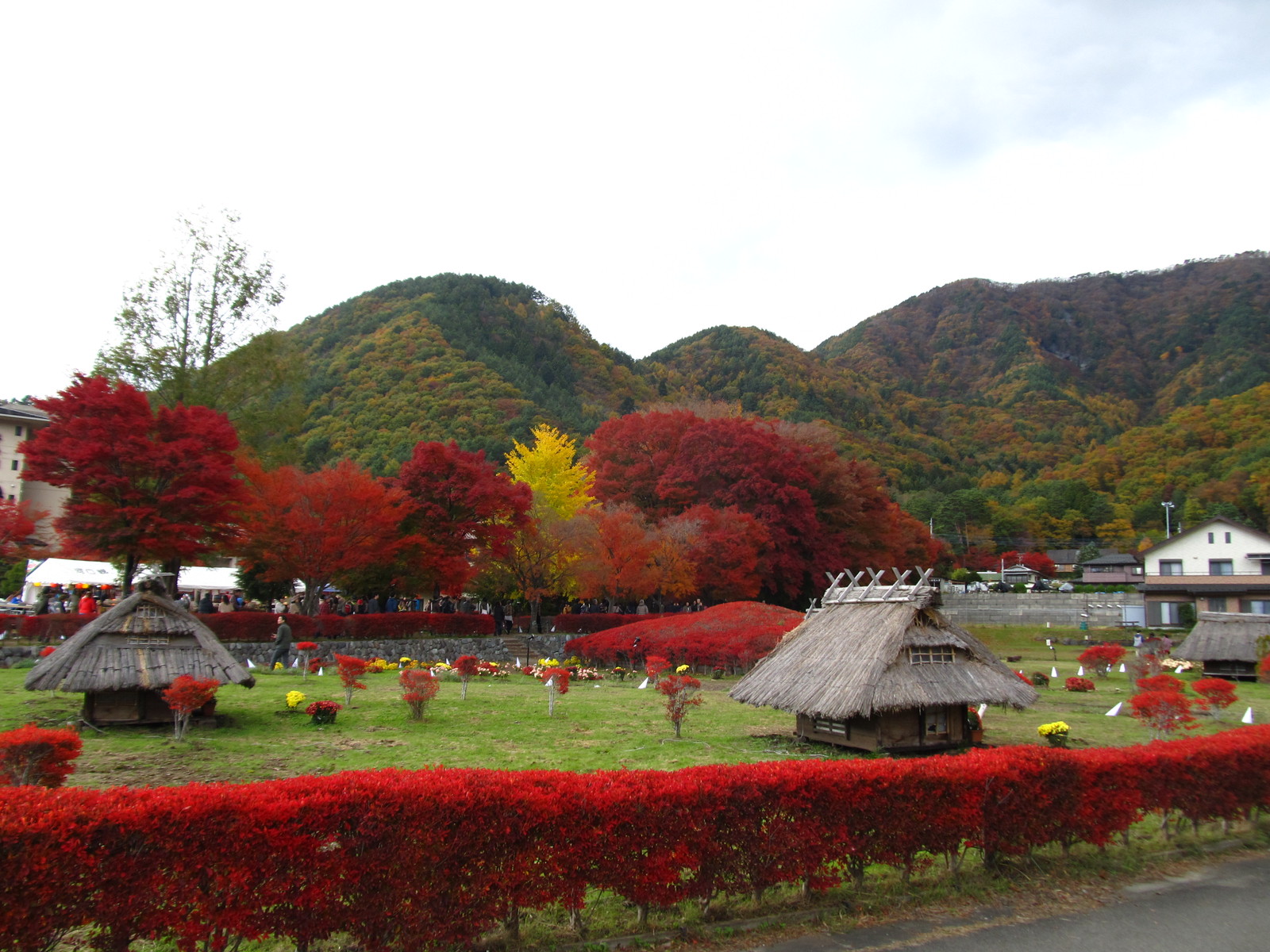 2013年11月11日 河口湖 紅葉まつり_d0085428_23314338.jpg