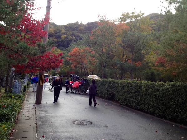 紅葉がきれいになりだしました_a0197730_2214579.jpg