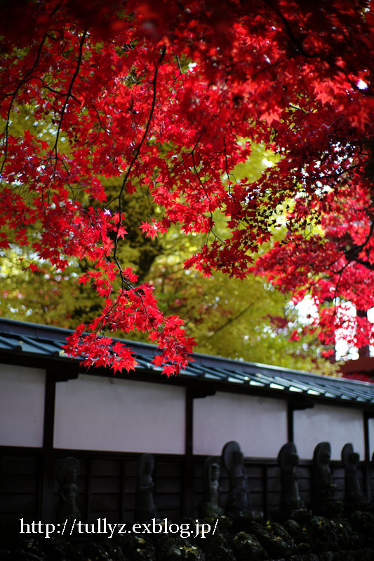 秋の長円寺（１）_d0108132_0594910.jpg