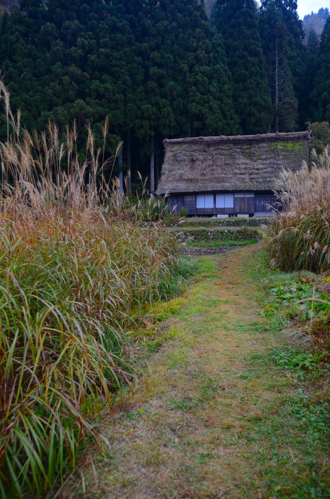 秋の田んぼ道_a0287533_2138426.jpg