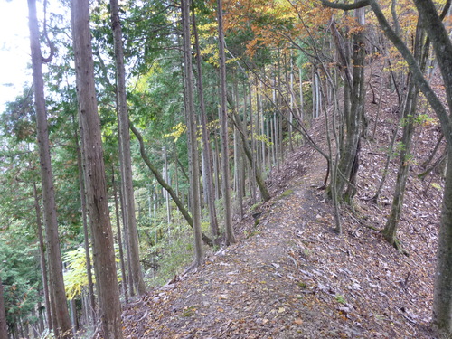 b0298935_21444489.jpg