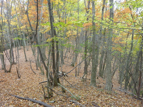b0298935_21452575.jpg