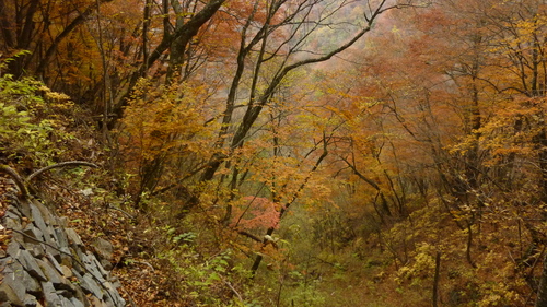 b0298935_2273281.jpg