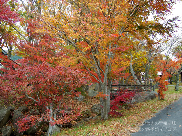 平成25年11月11日（月）　川前地区の紅葉（東松院・いわきの里鬼ヶ城・上桶売観音堂）_f0105342_19195497.jpg