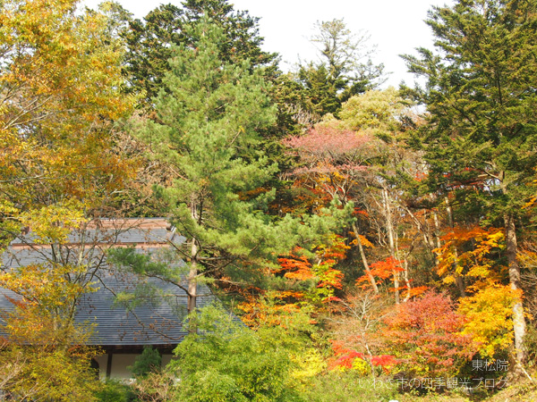 平成25年11月11日（月）　川前地区の紅葉（東松院・いわきの里鬼ヶ城・上桶売観音堂）_f0105342_19324257.jpg