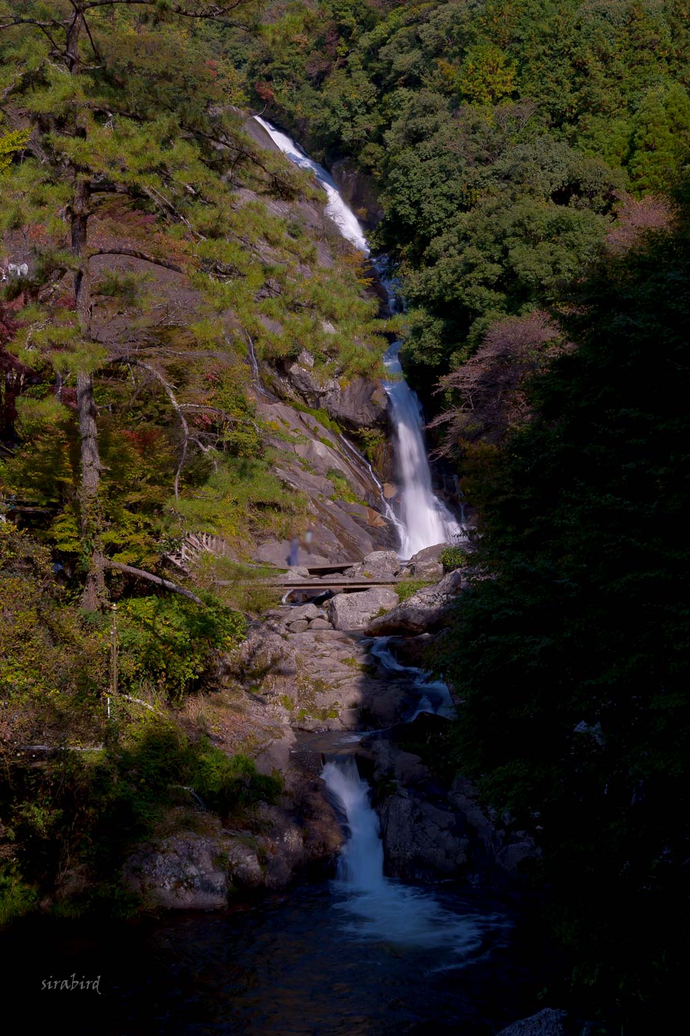 d0238245_11231629.jpg