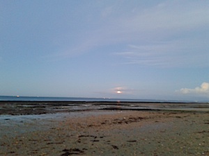 b0117348_5341576.jpg