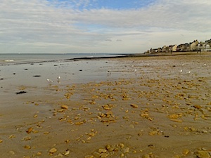 b0117348_5493230.jpg