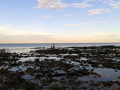 b0117348_5541024.jpg