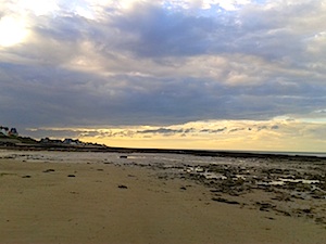 b0117348_6222360.jpg