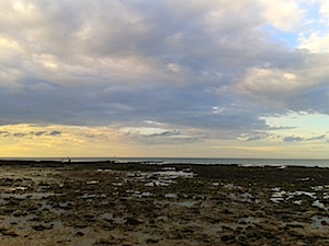 b0117348_624347.jpg