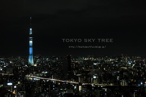 お誕生日とスカイツリー_d0124248_2231917.jpg