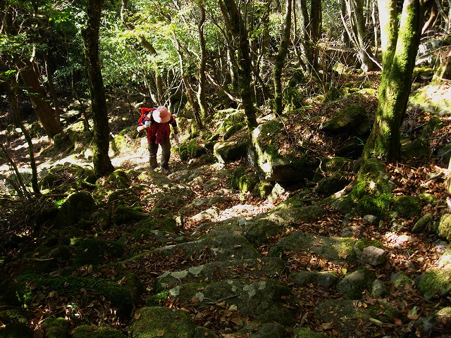 d0048350_20394734.jpg
