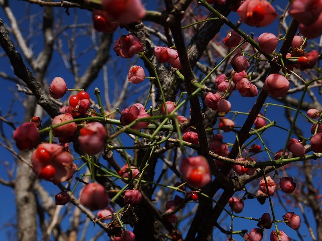 d0048350_20402430.jpg
