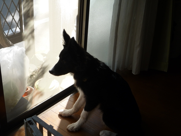 狙いの先_a0157156_23373179.jpg